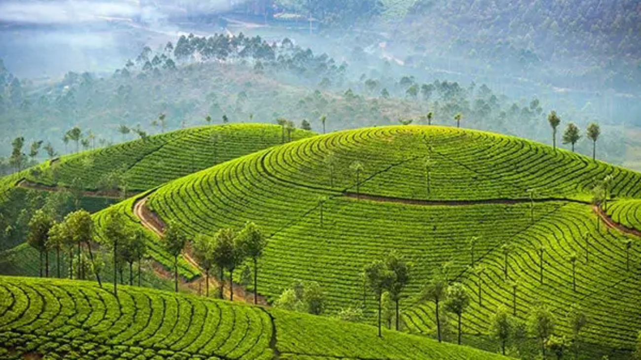 Munnar